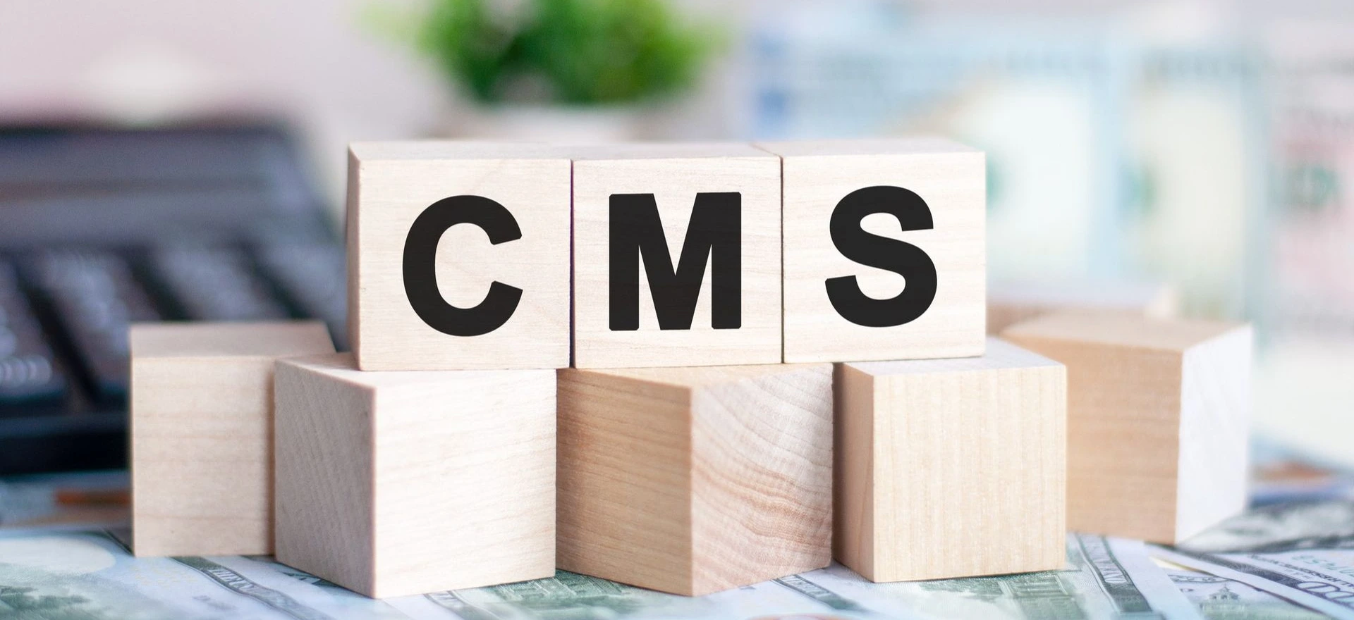 Quel CMS choisir entre Odoo et Wordpress ?